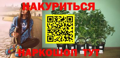 jwh Будённовск