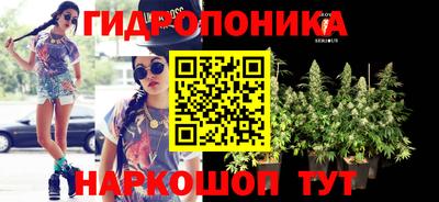 jwh Будённовск