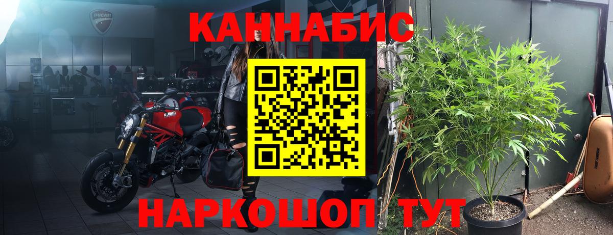 МАРИХУАНА планчик Полевской